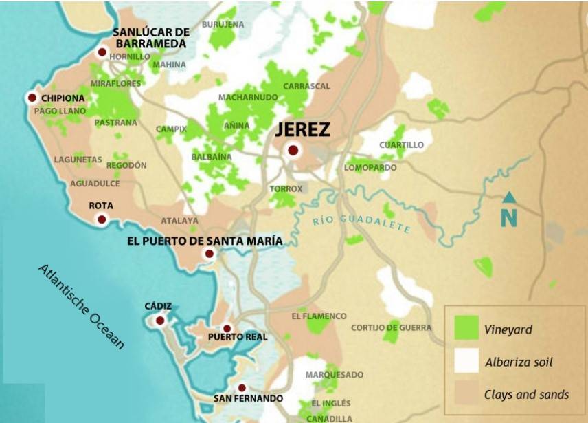 Geweldig trendy of oubollige sherry Jerez DO